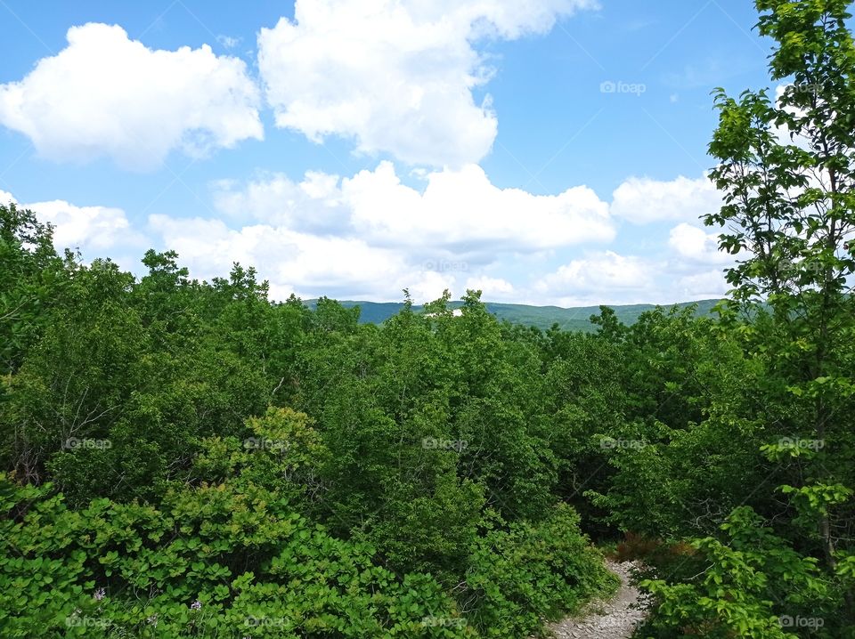 View from the mountain. Flying clouds. Forest and mountains. Trees.