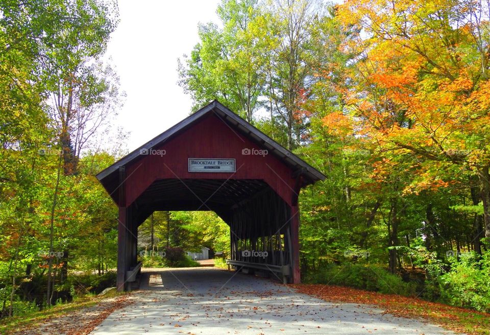 Covered bridge