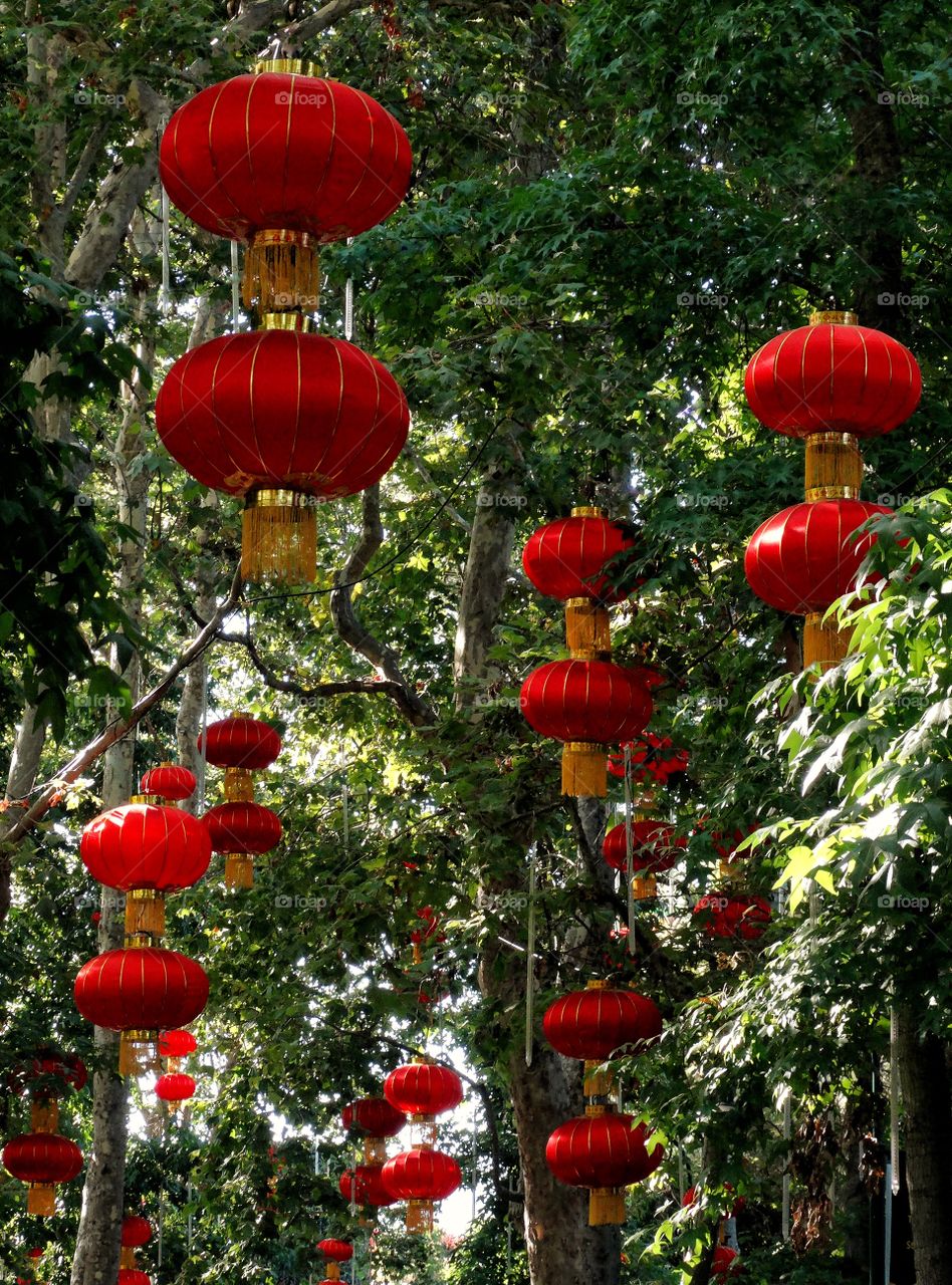 Red Chinese Lanterns
