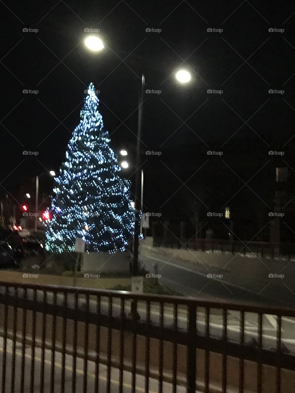 Christmas tree lighting 