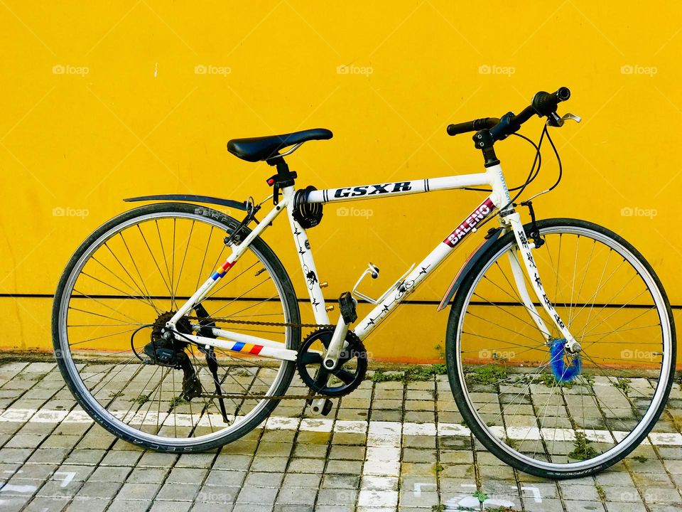 Two wheels, one love!🚲