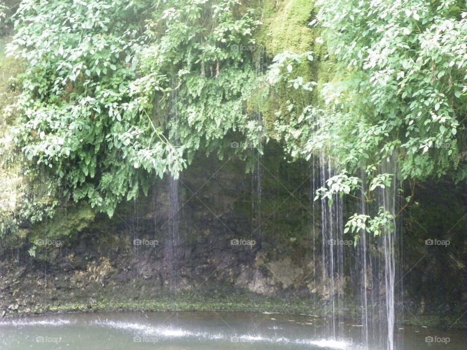 Natural springs state park