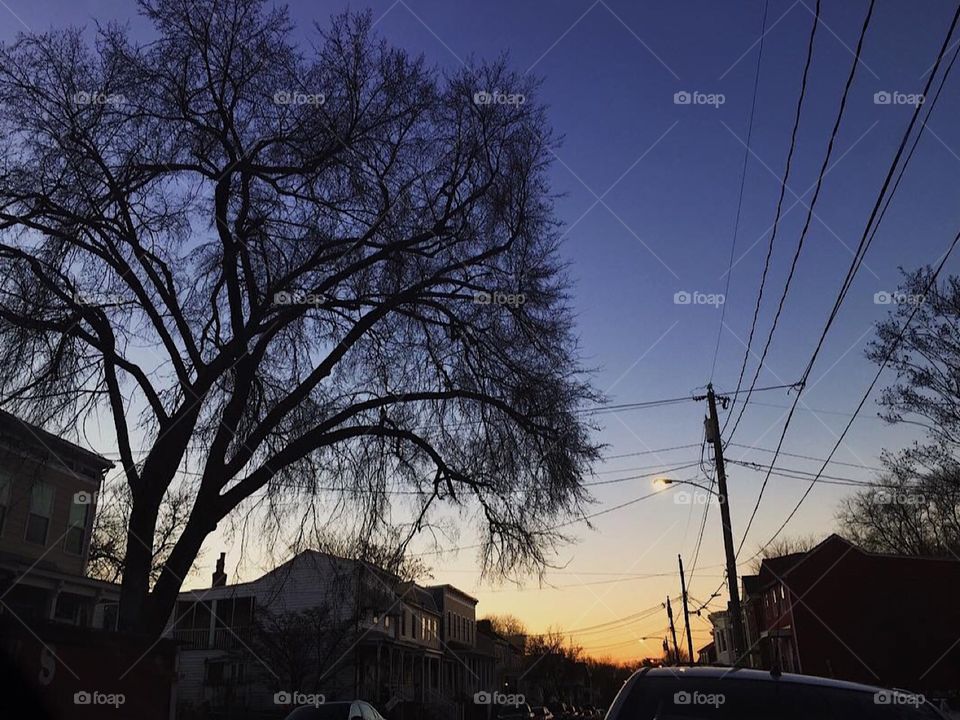 A dark silhouette of the trees in front of the mesmerizing sunset, it’s perfect. 