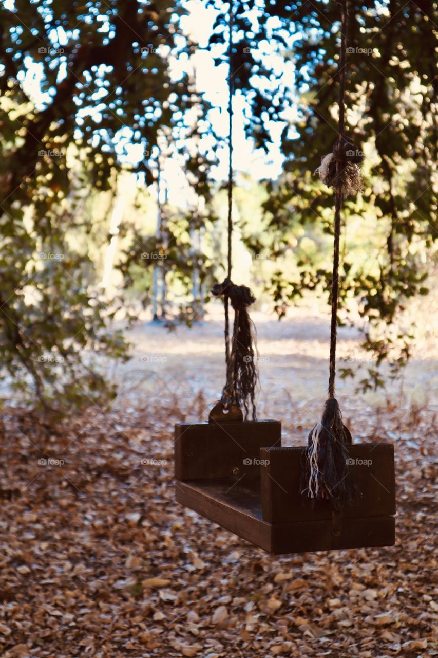 Wooden swing and fall leaves