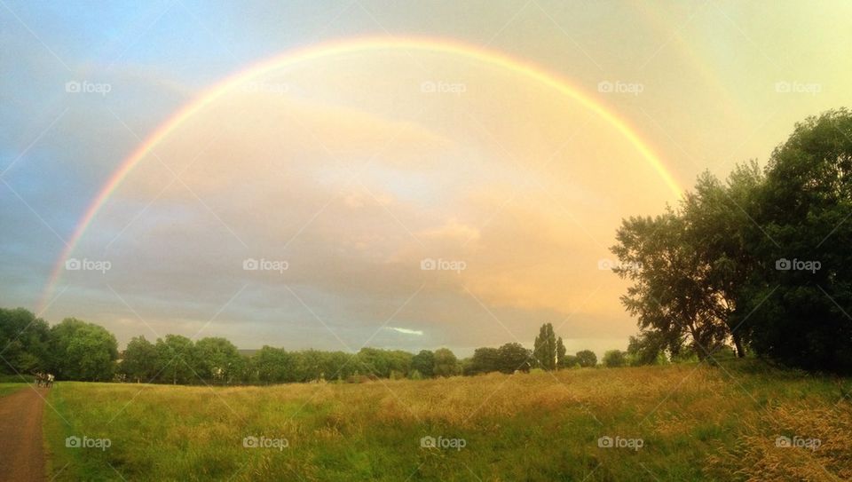 Hampstead Heath rainbow 