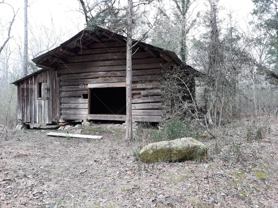 old abandoned cabin in woods