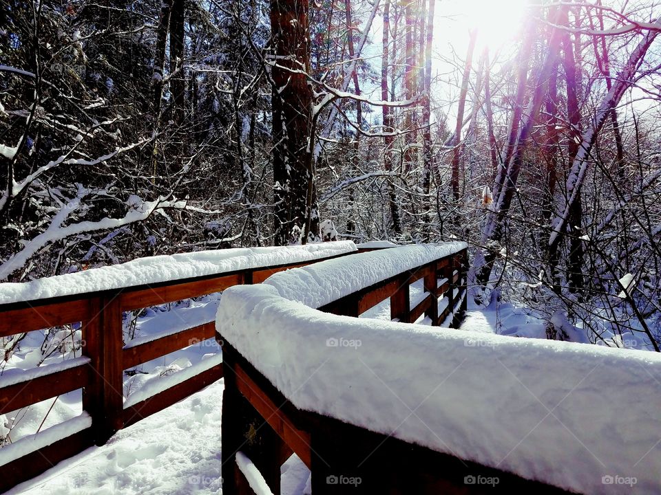 snowy bridge in forest