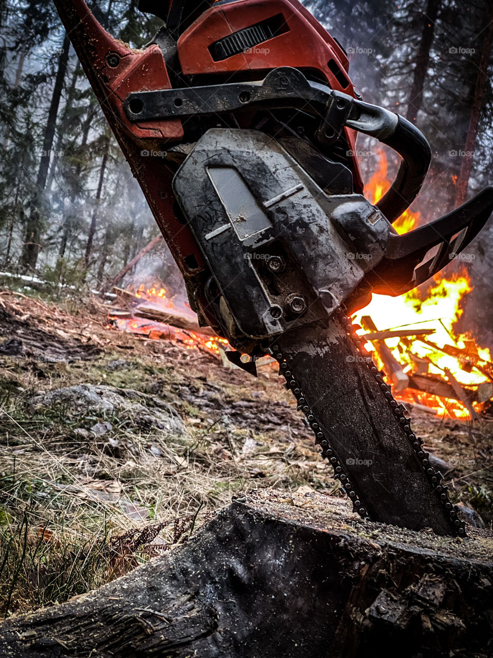 Fire insta:korpegard_t