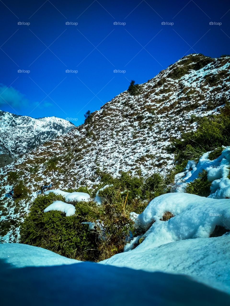 beautiful Ice mountains