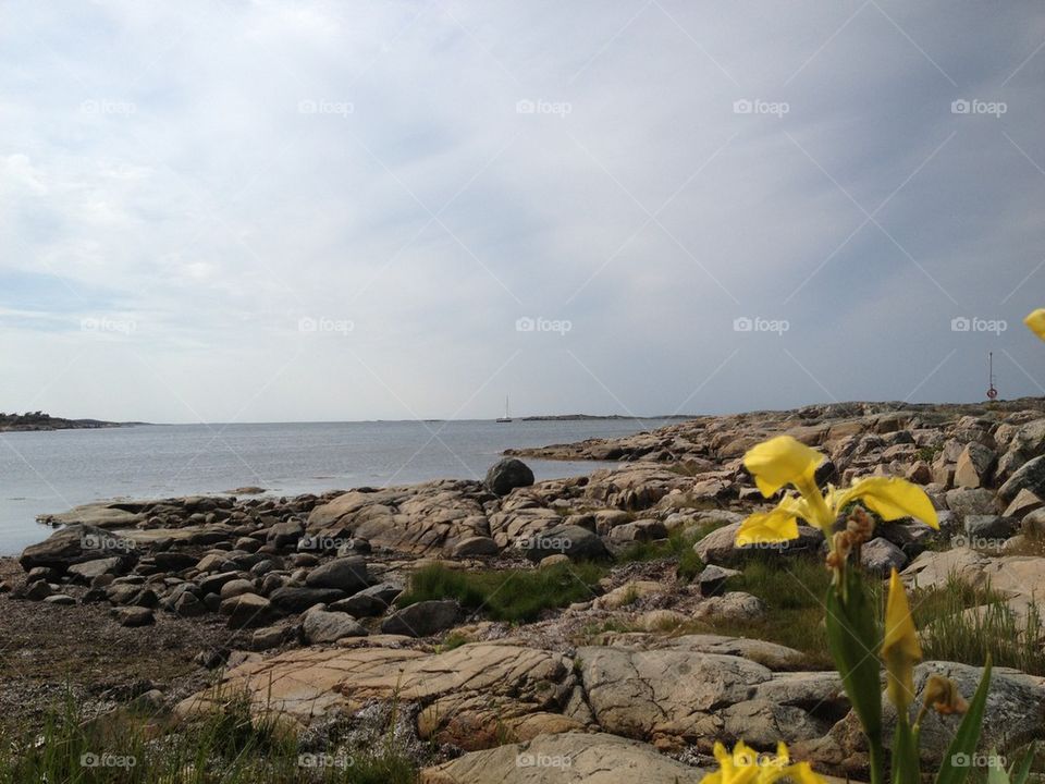 yellow flower sea boat by lemonique