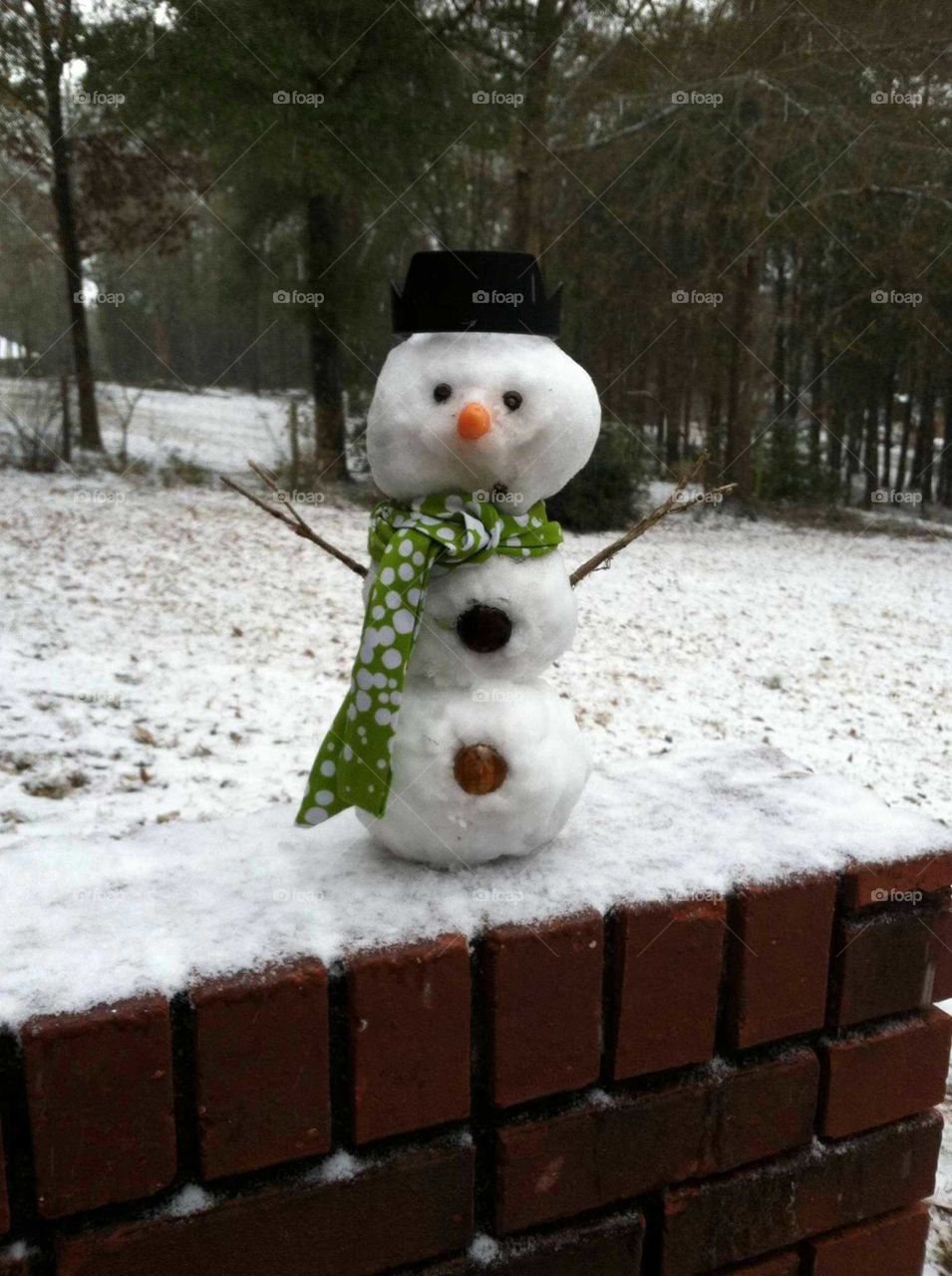 Olaf the snow man