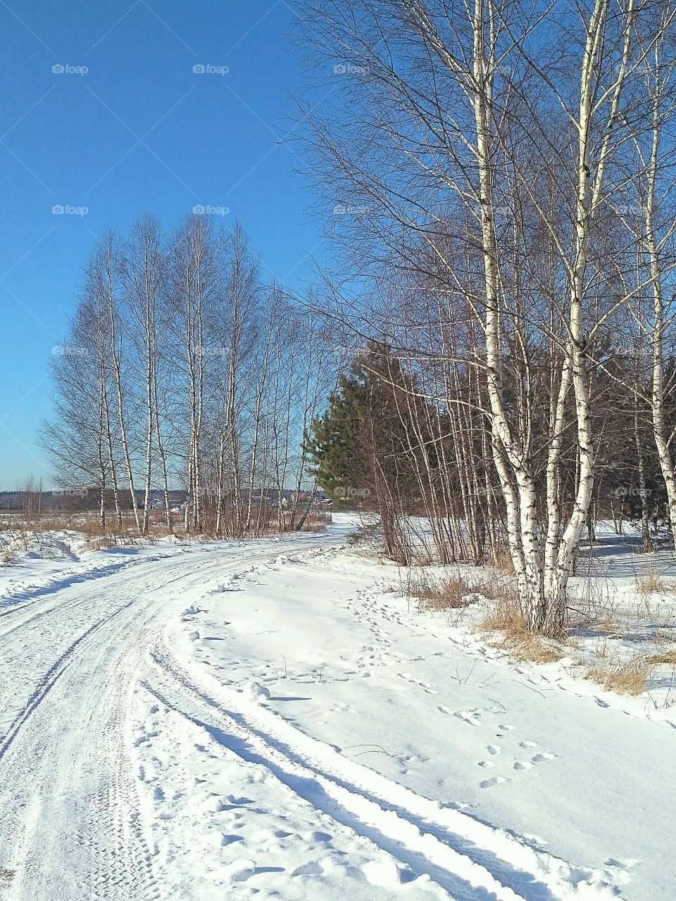 конец зимы, февральское утро, мороз и солнце, зимняя дорога, берёзы, сосны, синее небо,лес в дали.