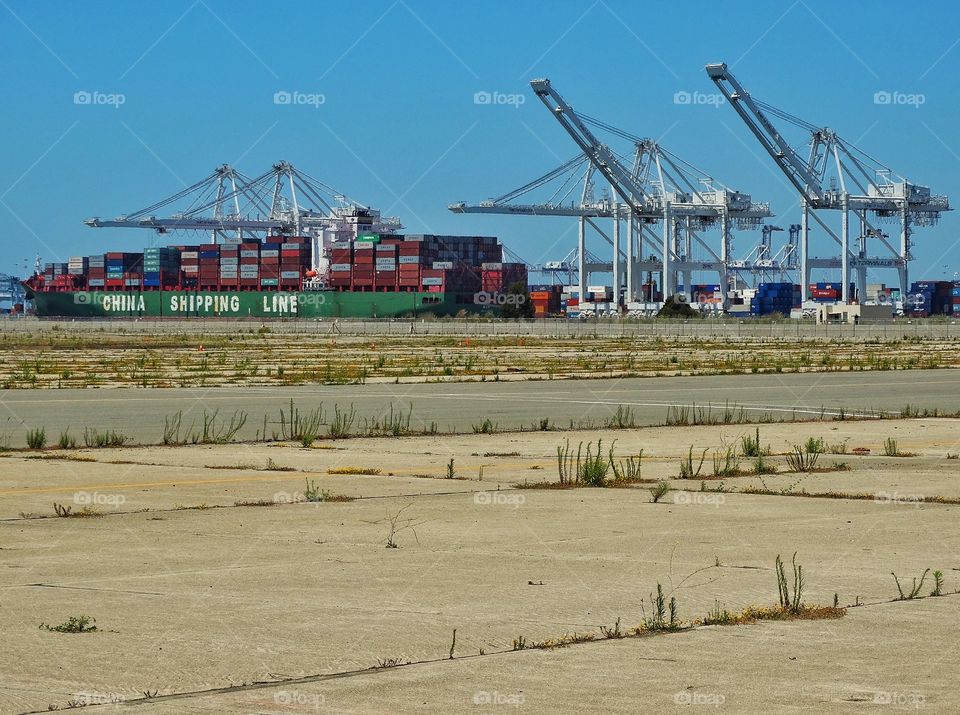 Cargo Ship In Port. Giant Cranes Unloading Cargo Ship

