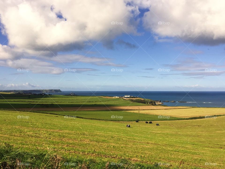 No Person, Landscape, Nature, Grass, Outdoors