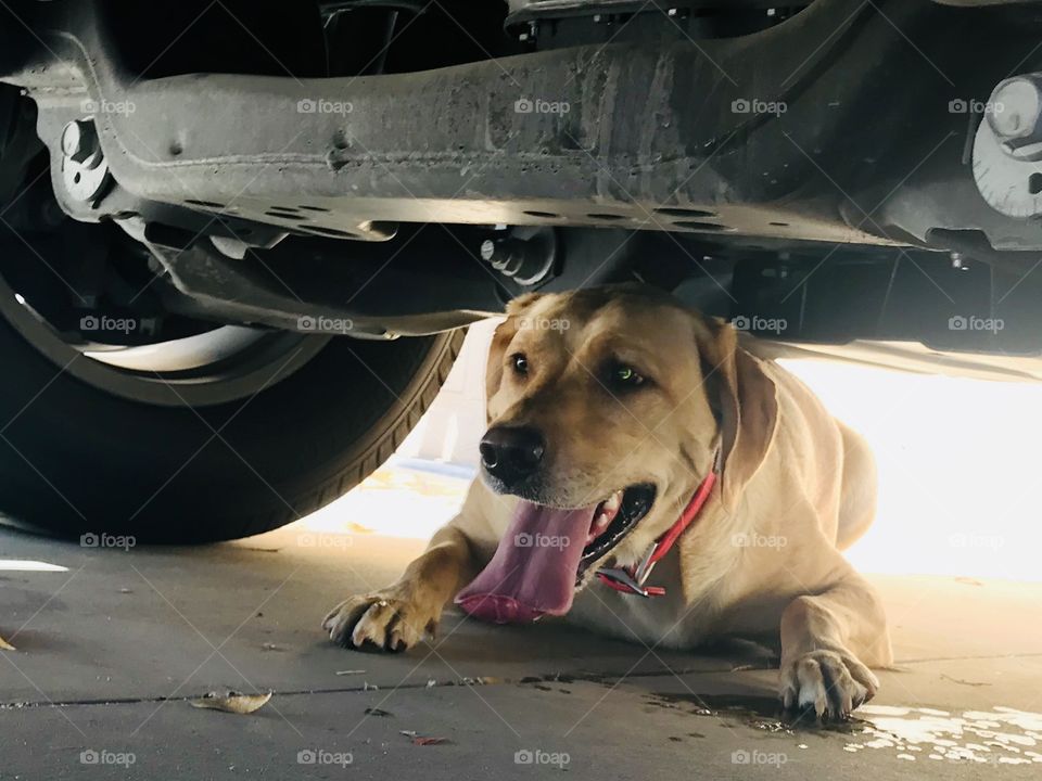 People are chasing me, so I hide here, safer and cozy. What is happening why these people are after me? 