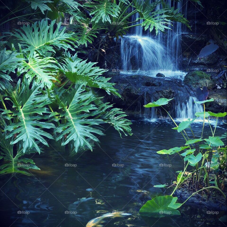 Beautiful waterfall captured in motion.