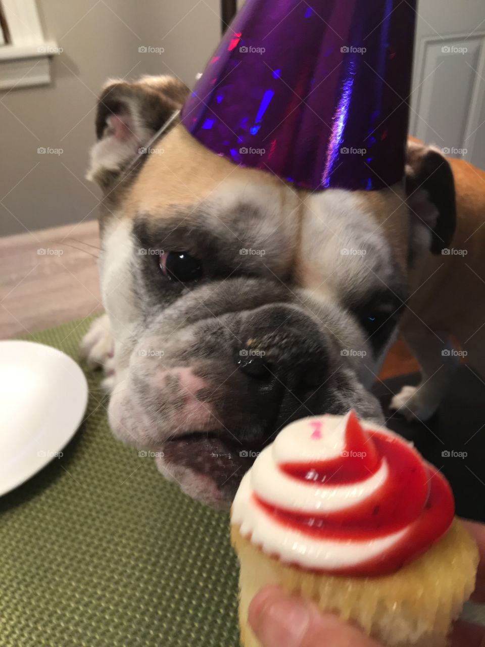 Put on that party hat!!!