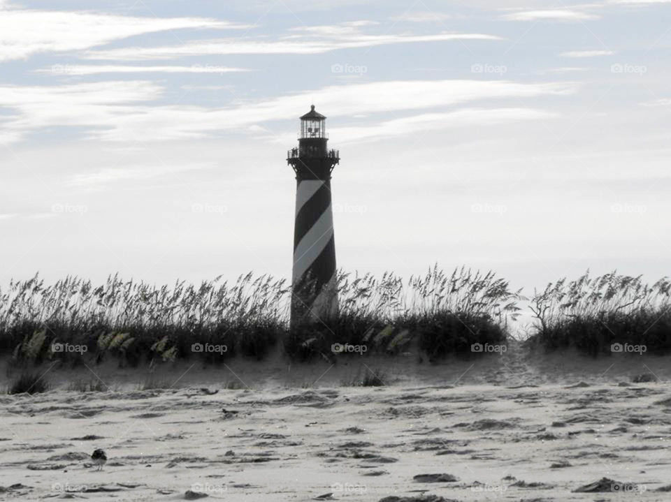 Cape Hatteras. Light house in the Outer Banks of North Carolina.  Cape Hatteras National Seashore