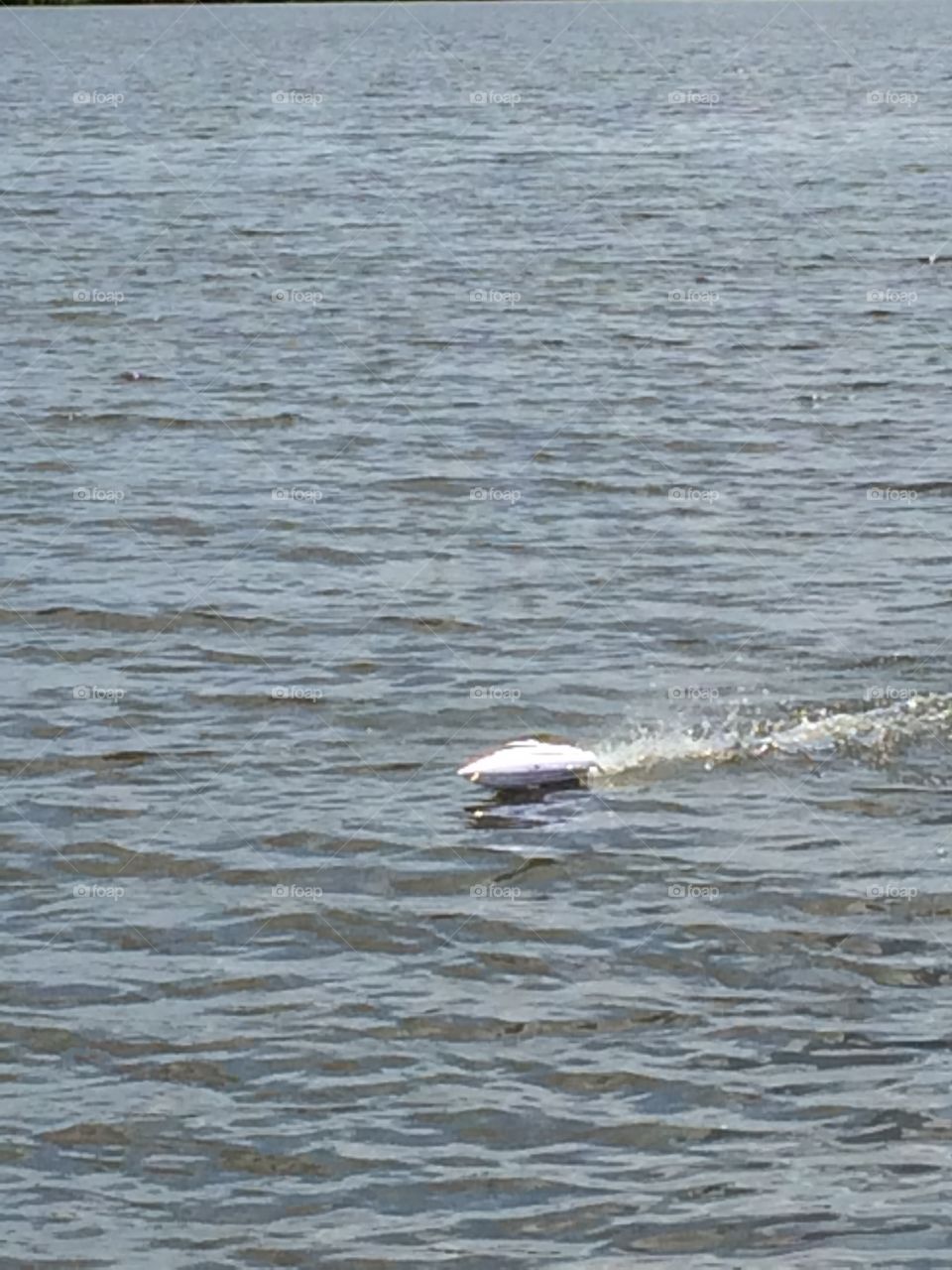 Remote controlled boat