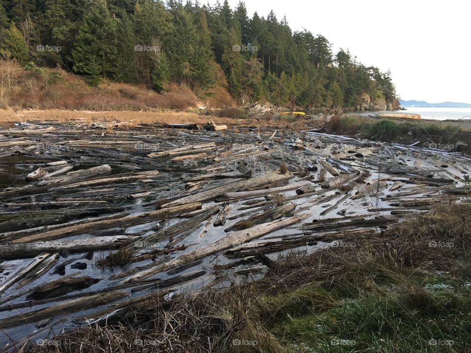 Cook’s Cove lagoon in ice