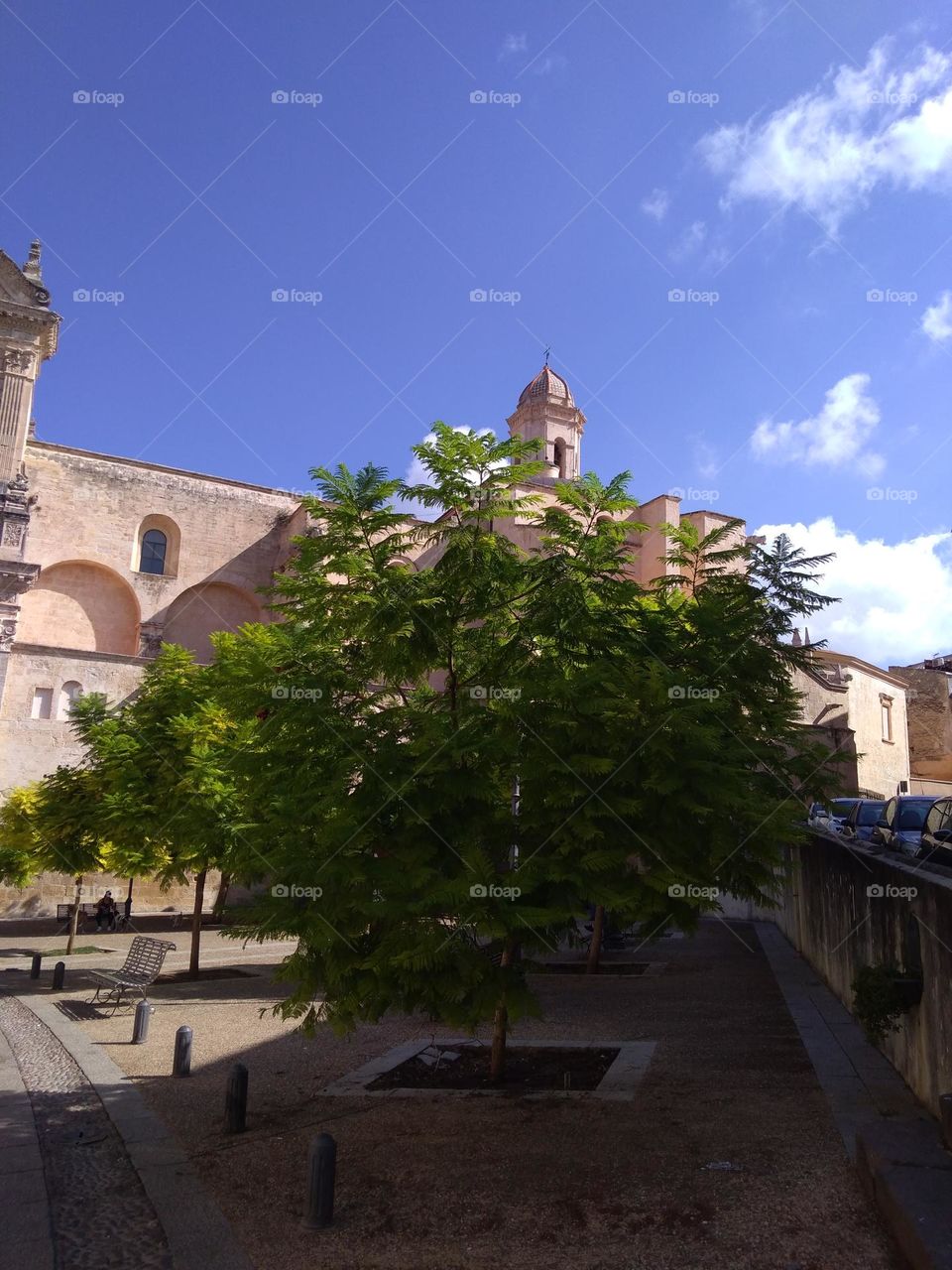 Best of 2021: Nature