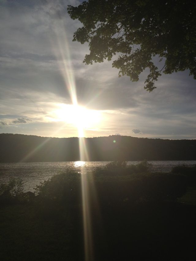 Rays