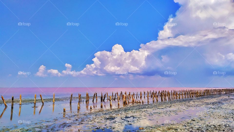 A beautiful salt lake with incredibly pink water!