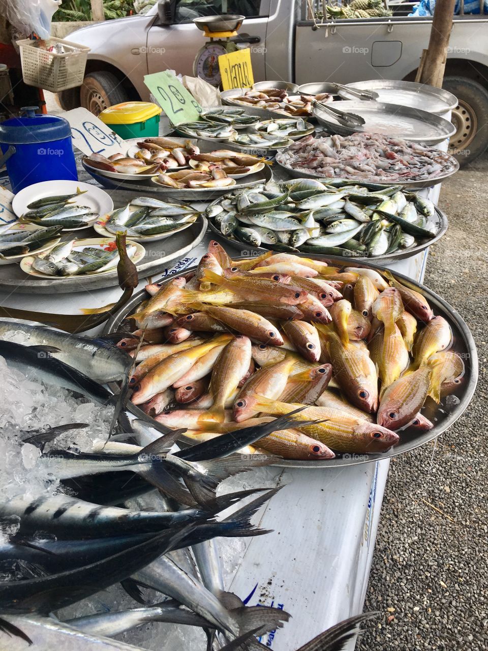 Fresh fish