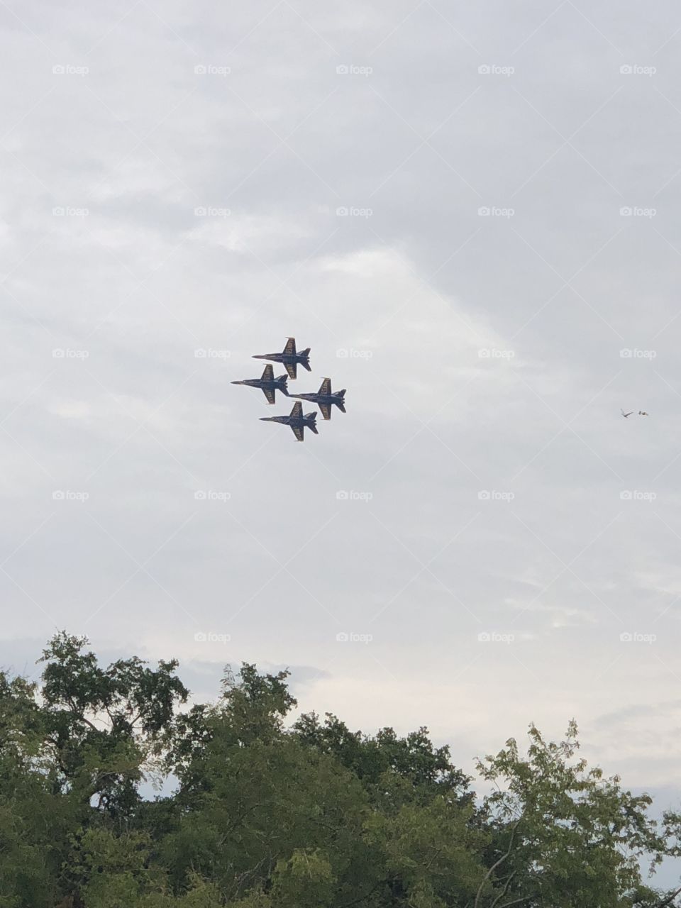 Blue Angels Diamond formation 