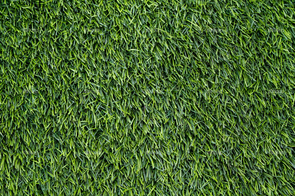 Artificial Grass Field