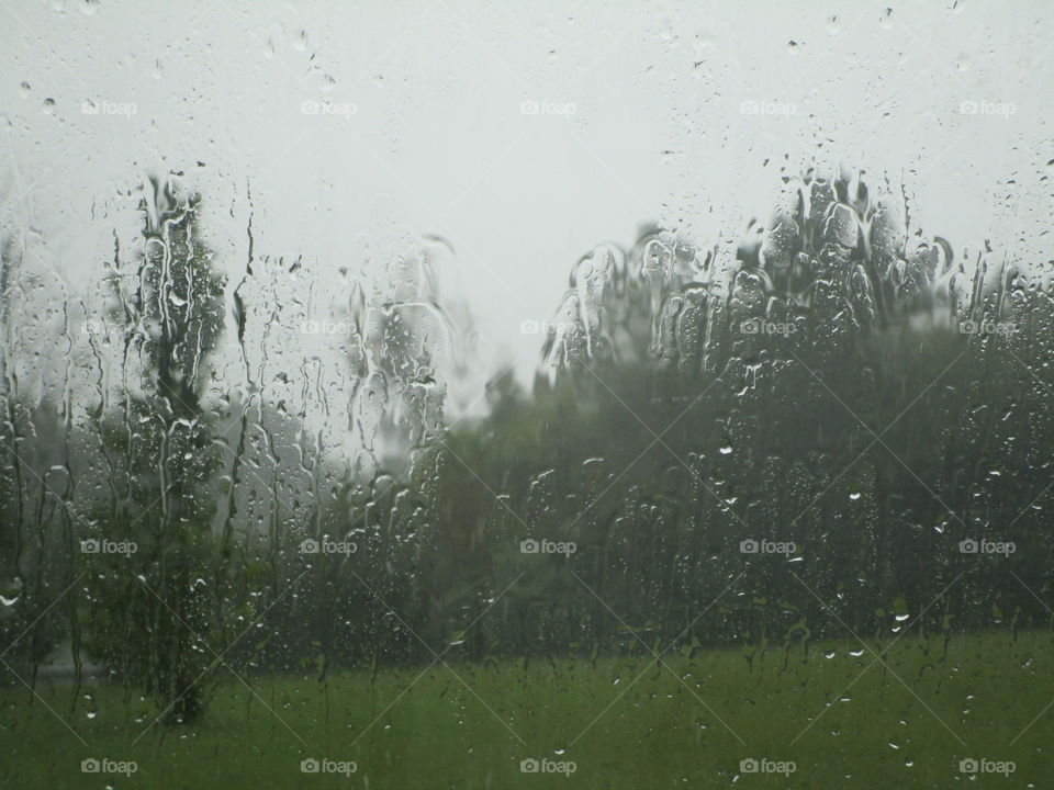 Rain fall outside my window