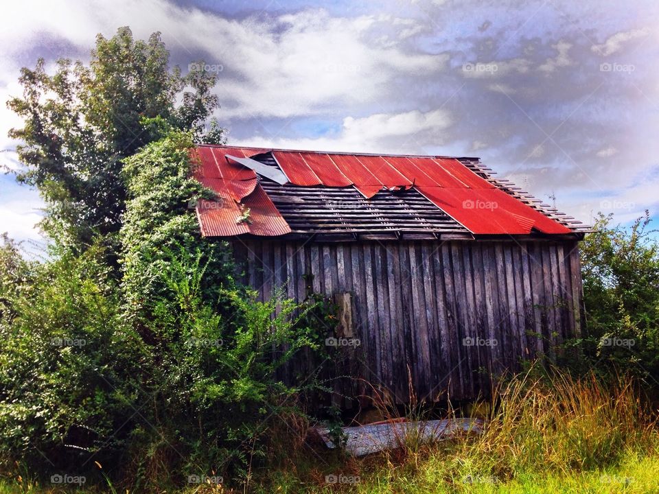 An old 1930's homestead is taken over by nature while dark clouds move across a bright blue sky