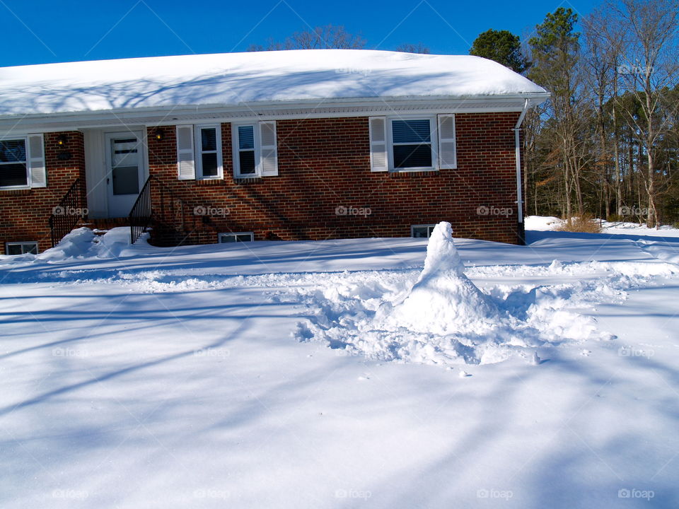 Snow, Winter, Cold, Frozen, Frost