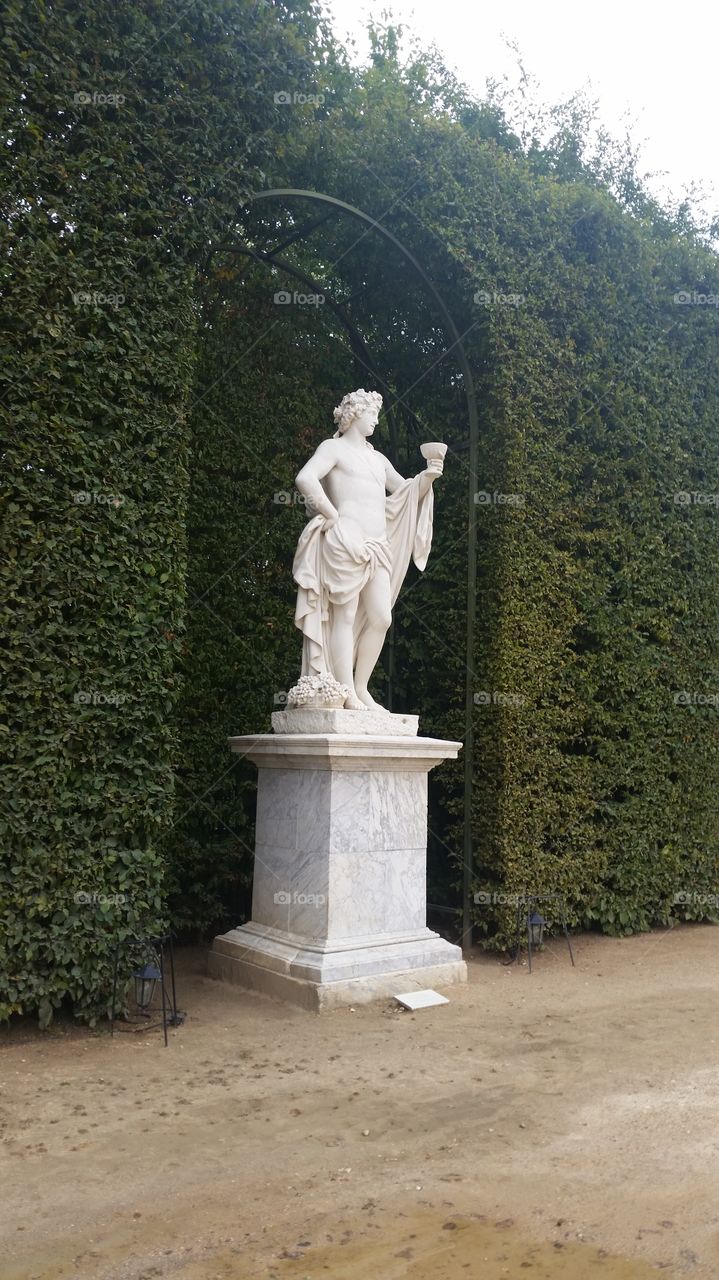 garden, Versailles