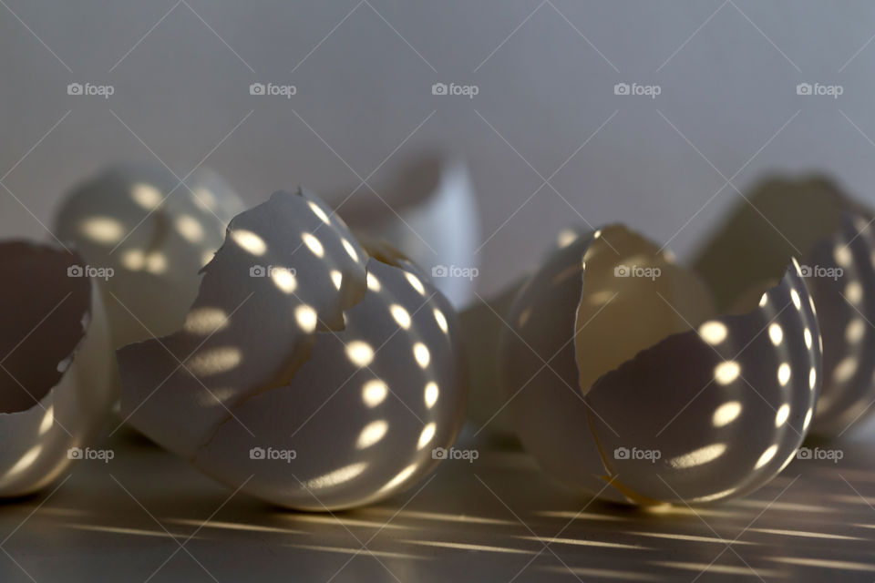 Egg shells in the kitchen with interesting shadow cast