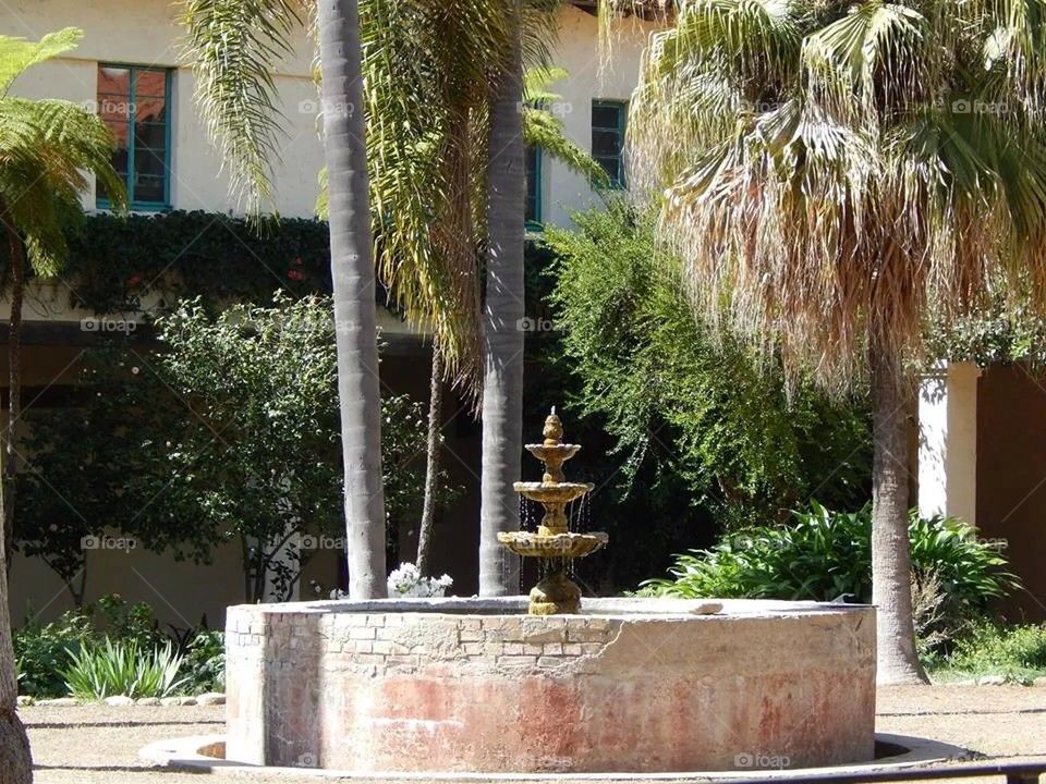 Fountain Of Spring