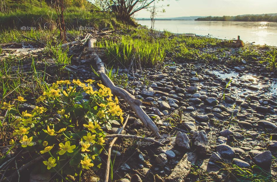 Enisey river