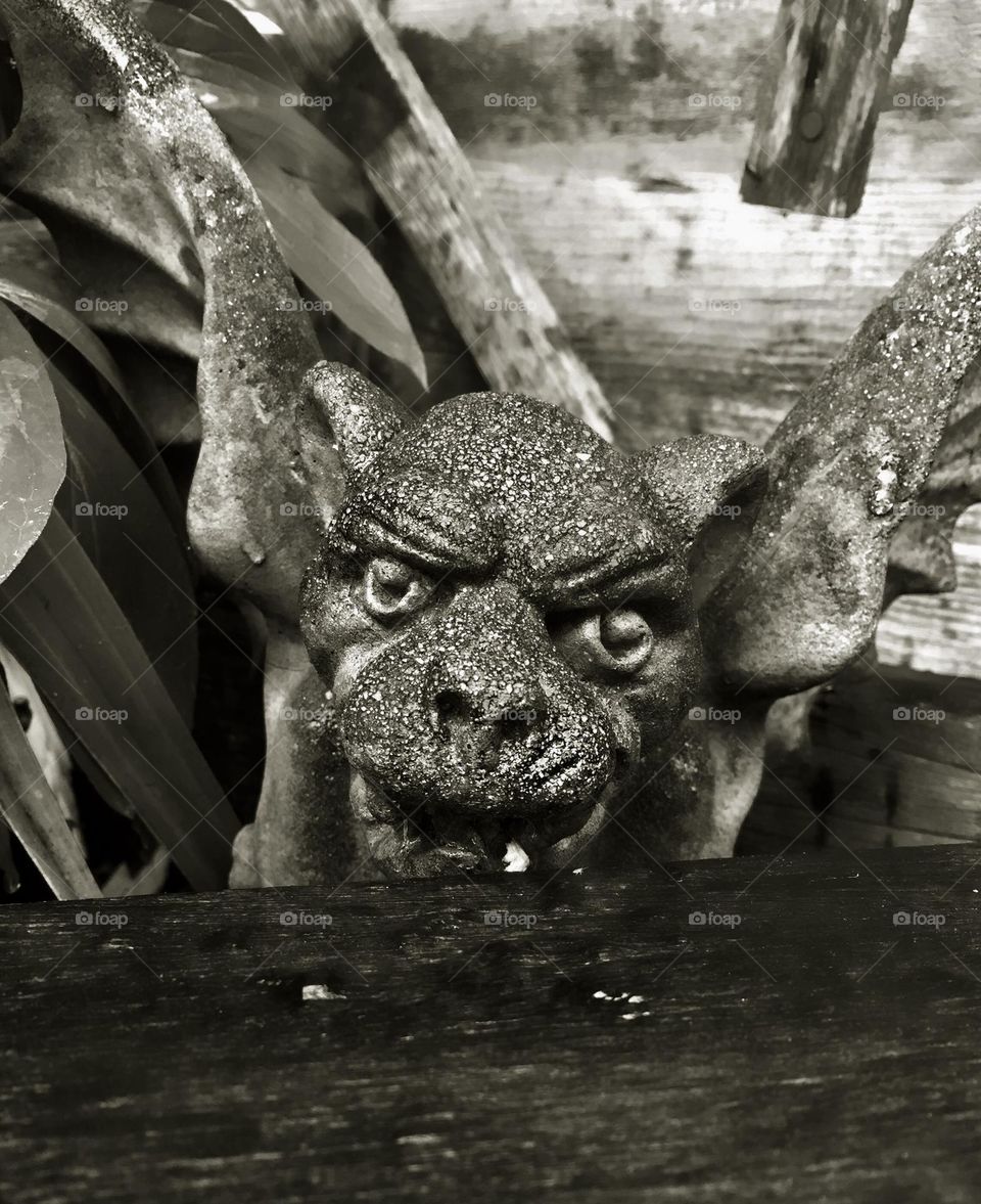 What Are You Looking At