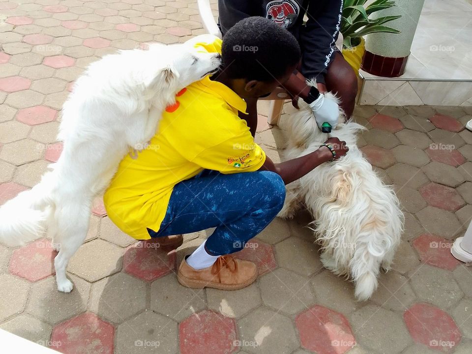 Rabies vaccination campaign, door to door in Arusha Tanzania