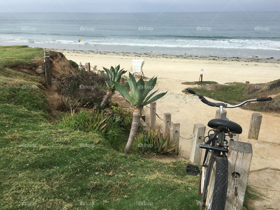 Water, Beach, Sea, Seashore, Summer