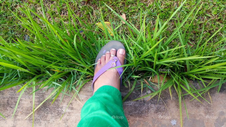 Green Grass and Feet