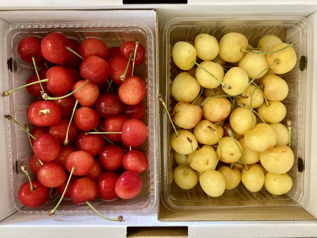 Cherries 