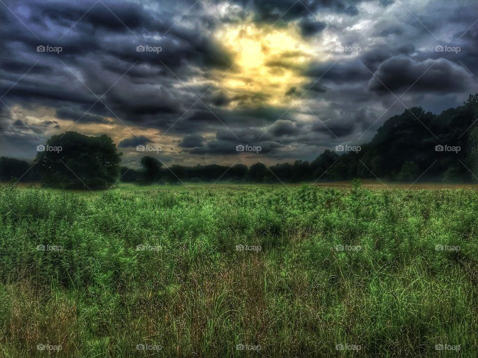 Amazing skies over the meadow. Crazy cloud formation over the meadow at sundown.  