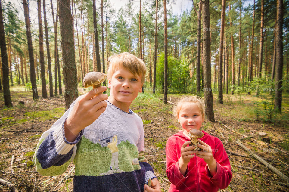 Kids gathering mushrooms in the forest