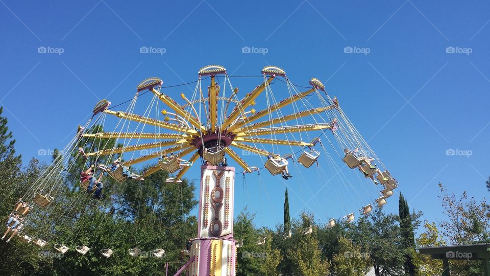 Swings. Swing ride at Wild Adventures in Valdosta, GA