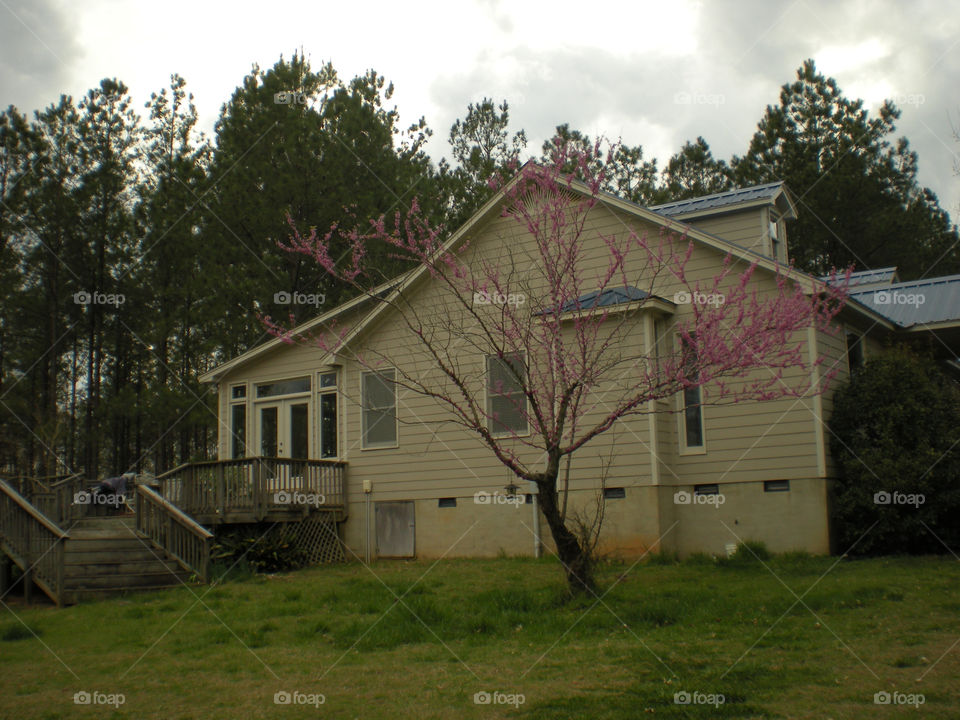 House in the country