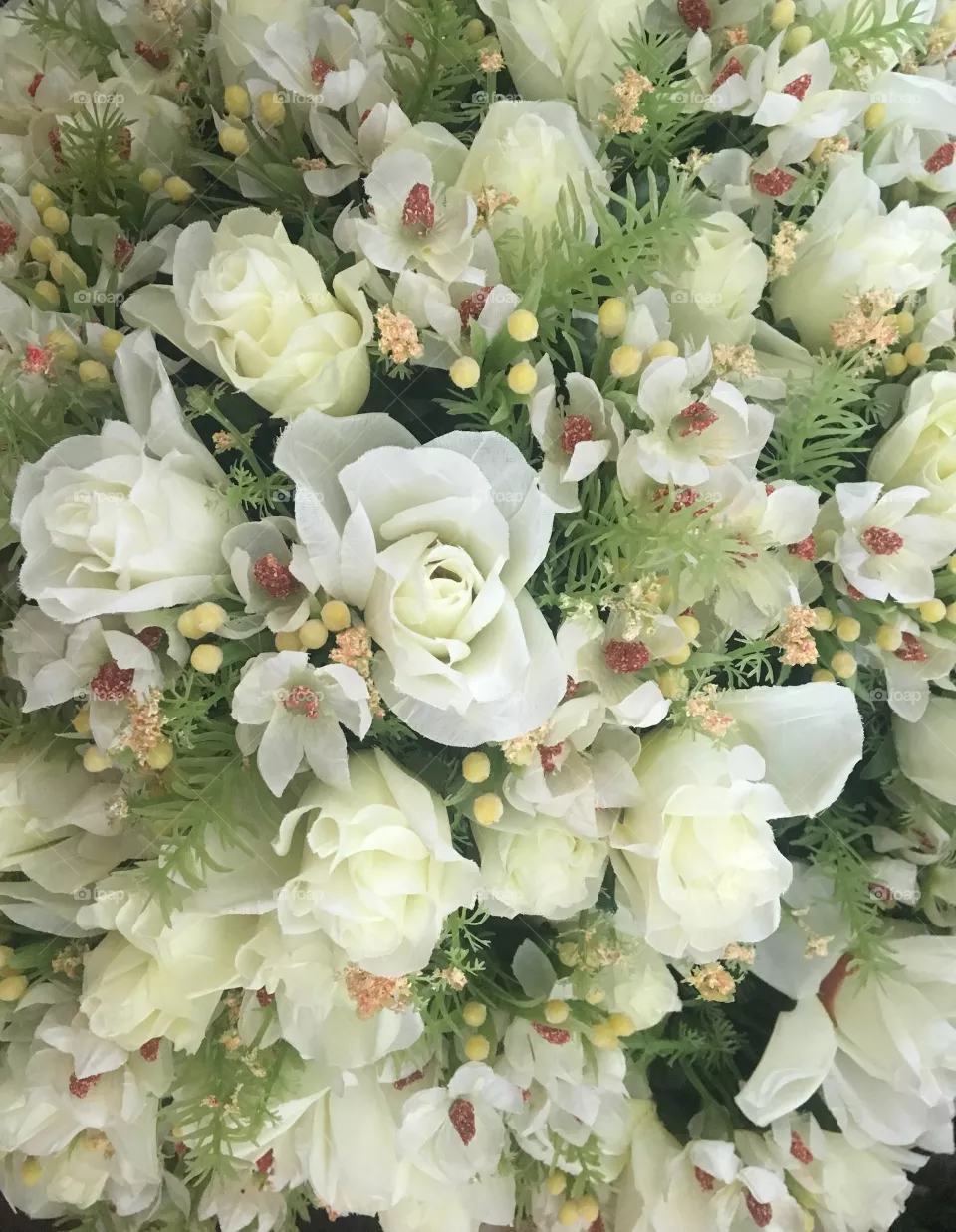 White roses on the background