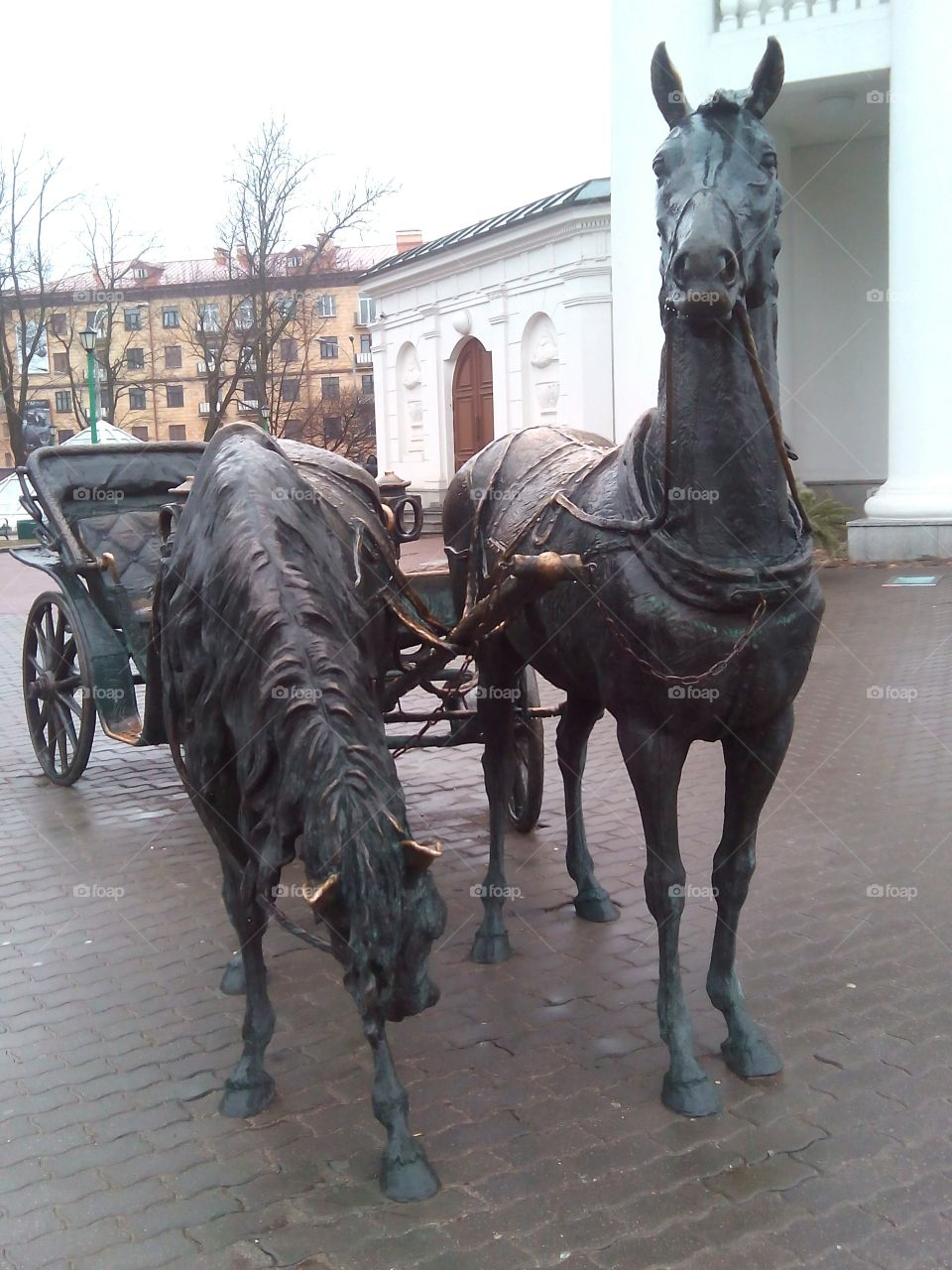 Cavalry, People, Travel, Mammal, Street