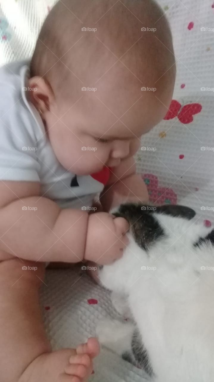 Baby loves The cat