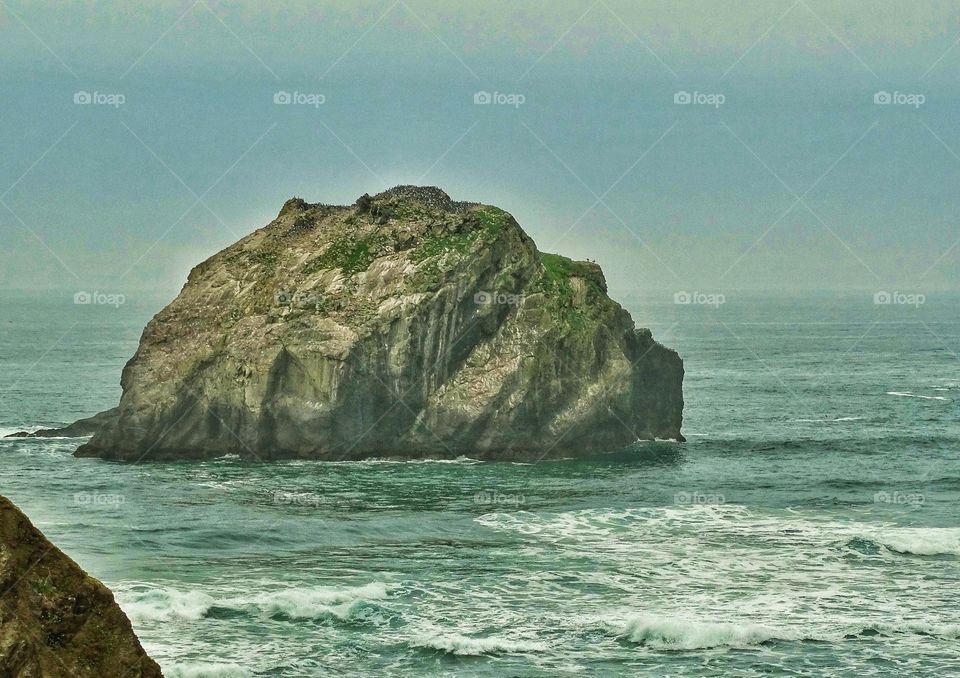 Face Rock Off The Coast Of Oregon